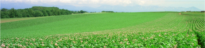 KMS Grup - Agricultura