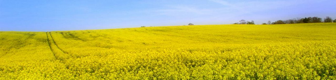 KMS Grup - Agricultura