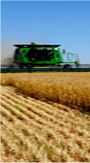 Agricultura
